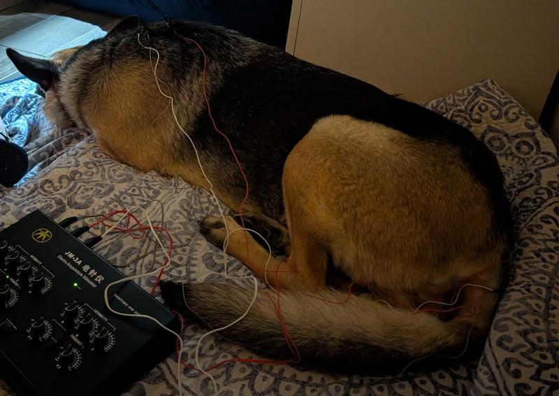Carousel Slide 24: Acupuncture Time
