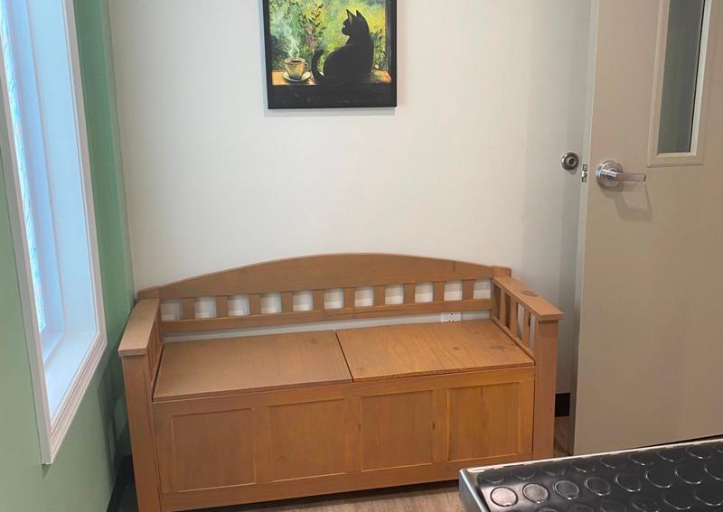 Carousel Slide 14: New Feline Exam Room 1