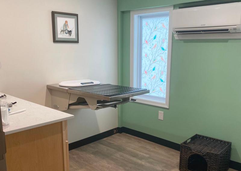 Carousel Slide 15: New Feline Exam Room!