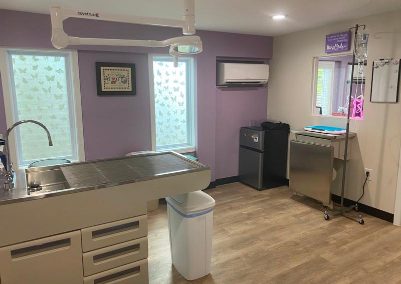 Carousel Slide 16: New Feline Treatment Room!