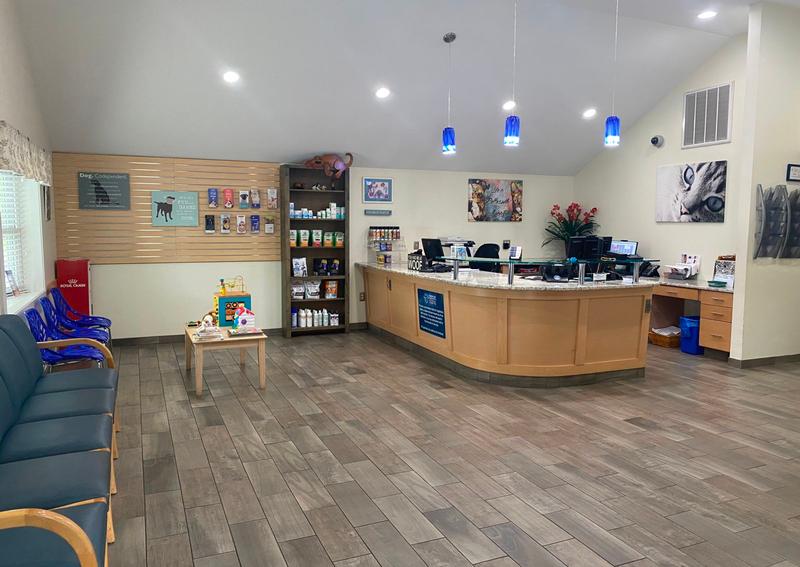 Carousel Slide 4: Client waiting room with toys and books for children
