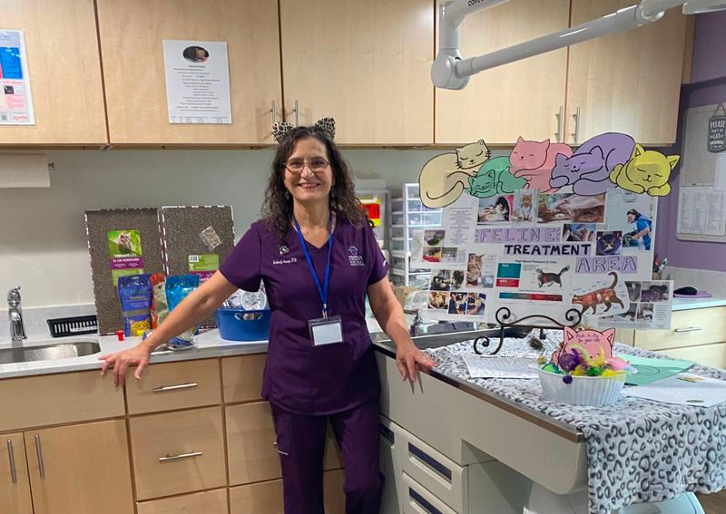 Carousel Slide 5: Dr. Kimberly Jessup sharing the importance of Fear Free Feline Care at our Open House!