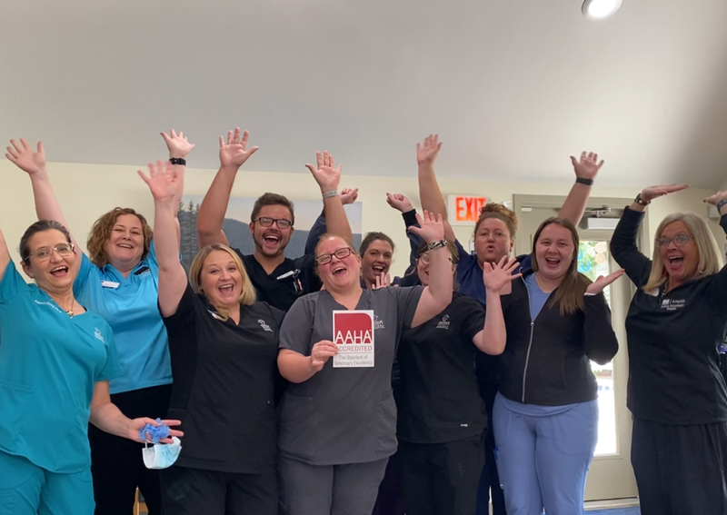 Carousel Slide 2: AAHA Evaluation Day! We passed!