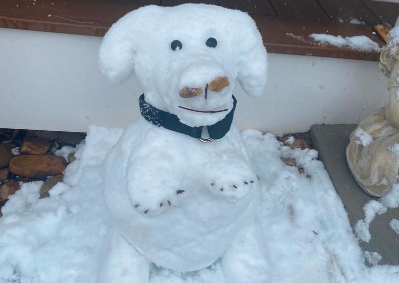 Carousel Slide 21: Meet Frosty the Snow Pup! Created by our Vet Assistants Harley and Donna, during the first snowstorm of the 2025-2026 winter season.