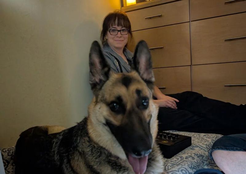 Carousel Slide 9: Dr. Kelly Cockram with her sweet patient Bella, who visited for her very first acupuncture session! Bella did amazing, and we're so proud of how relaxed she was throughout the treatment.