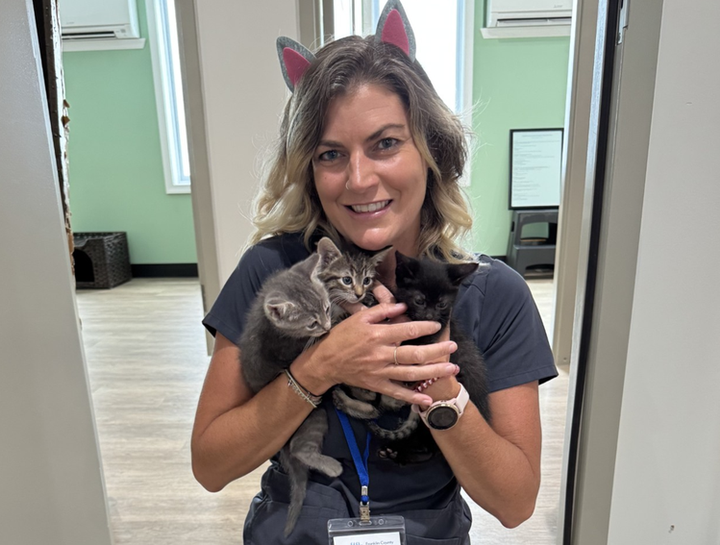 Preventive Care for Cats