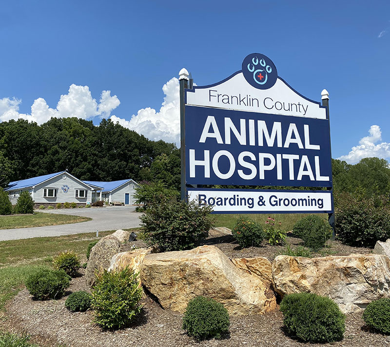 Rocky Mount Animal Hospital | Rocky Mount VA pet hospital